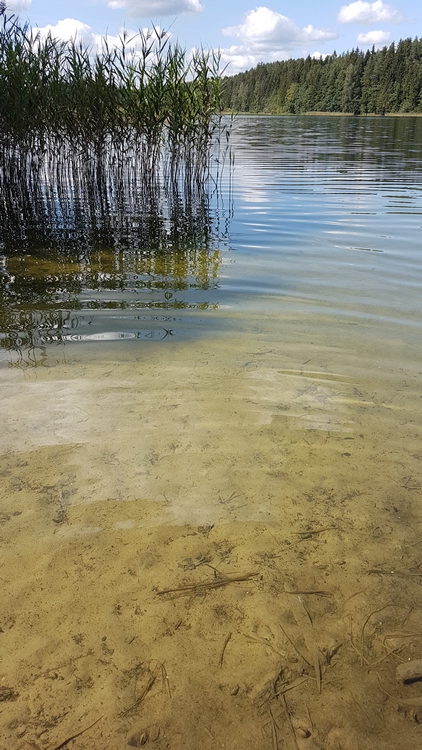 Озеро Болдук, 2019