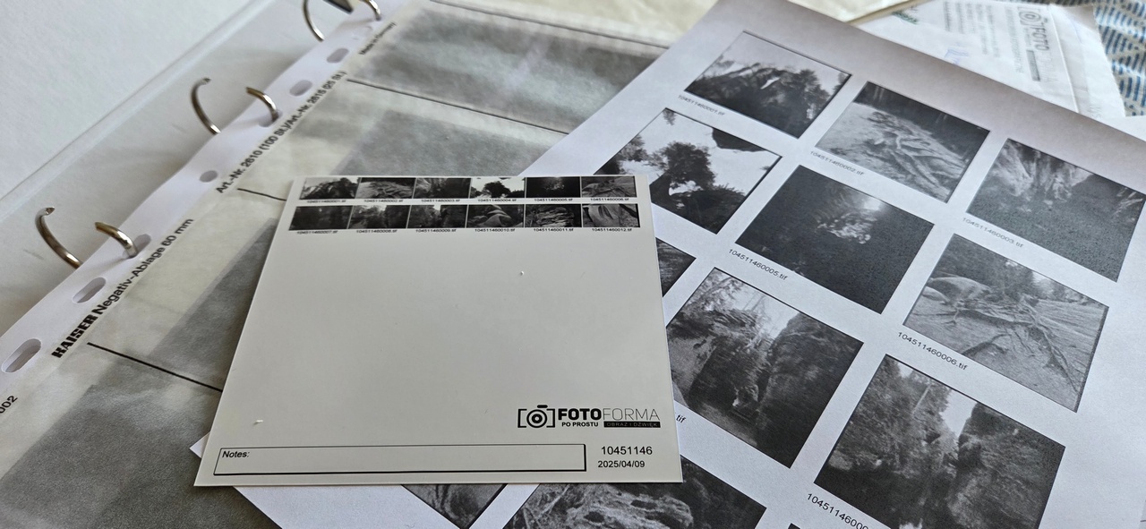 Негативы: хранение и атрибуция