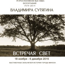 Выставка Владимира Сутягина «Встречая свет»